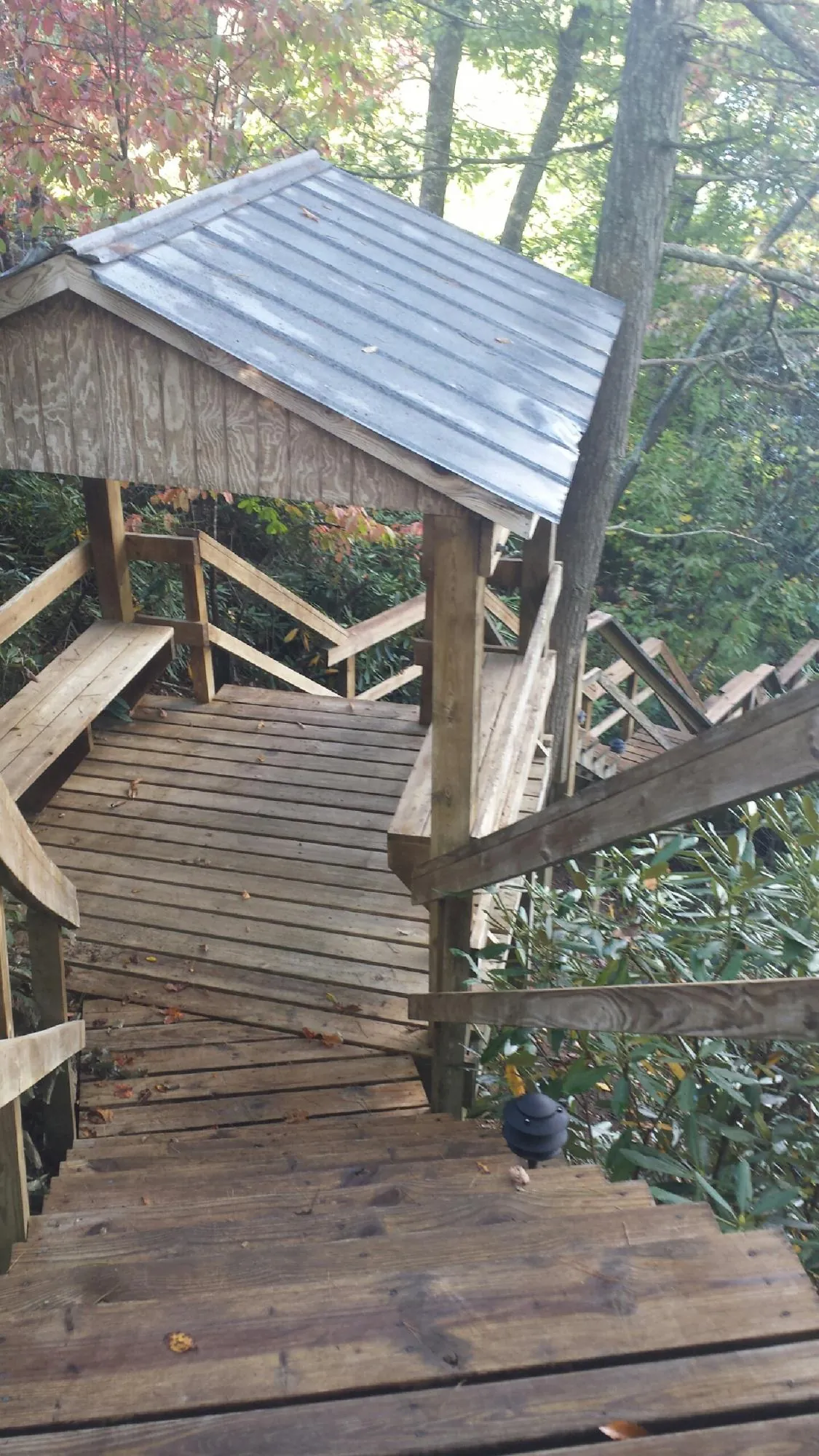 Metal roofed shelter over wooden steps on a wooded walkway — Skylight Repair & Installation work by our crew in Newborn